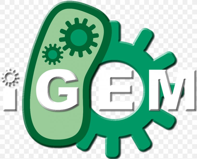 International Genetically Engineered Machine Yeast Genetics Meeting 2018 Synthetic Biology GIANT JAMBOREE 2018 Research, PNG, 1064x860px, 2018, Synthetic Biology, Area, Biology, Biotechnology Download Free