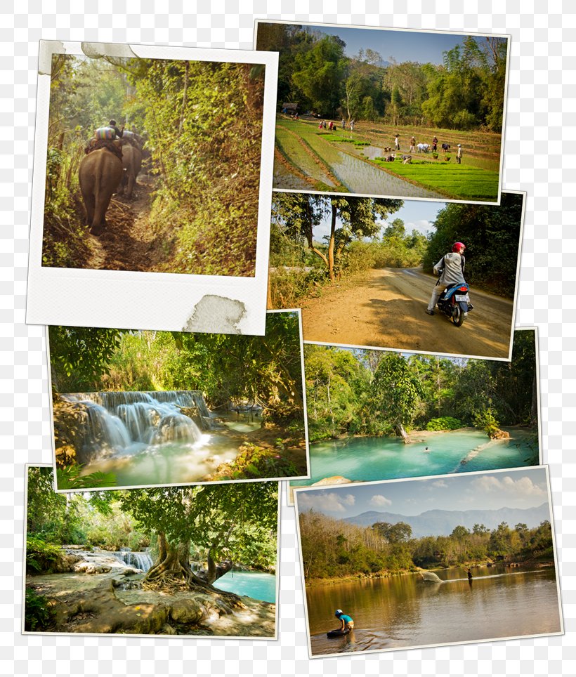 Luang Prabang District Luang Namtha Travel Photography, PNG, 800x964px, Luang Prabang, Bicycle, Collage, Ecosystem, Grass Download Free