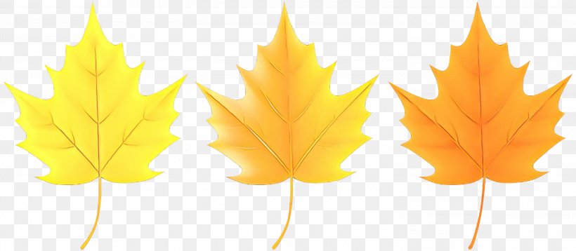Maple Leaf, PNG, 3000x1313px, Cartoon, Leaf, Maple, Maple Leaf, Orange Download Free