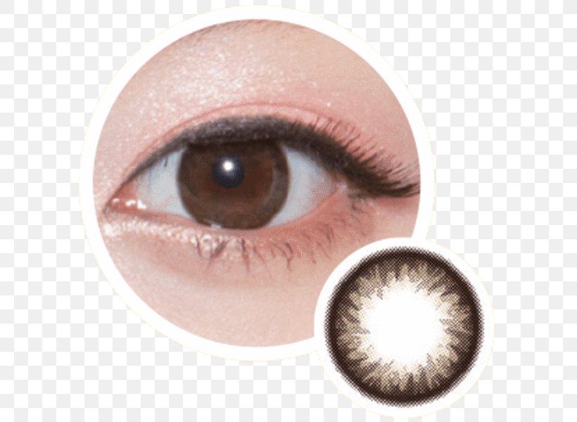 Cat's Eye Circle Contact Lens Contact Lenses Color, PNG, 600x600px, Cat, Base Curve Radius, Brown, Circle Contact Lens, Close Up Download Free