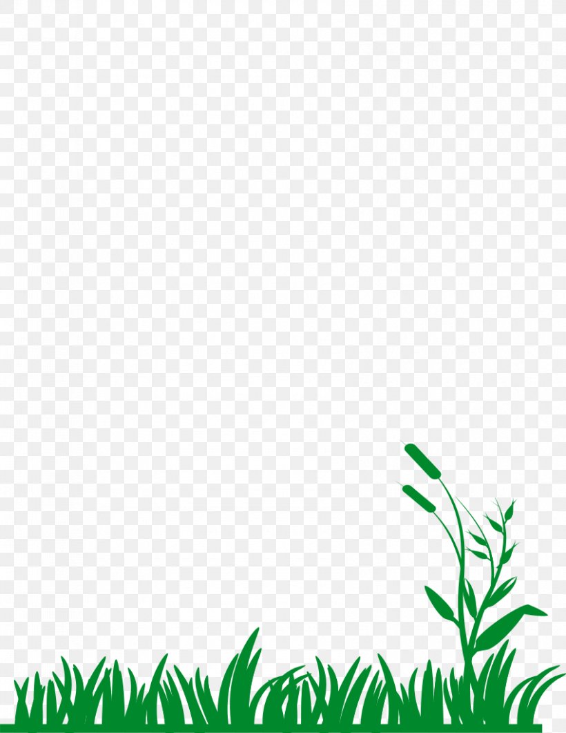 Clip Art, PNG, 850x1100px, Stock Photography, Area, Flora, Grass, Grass Family Download Free