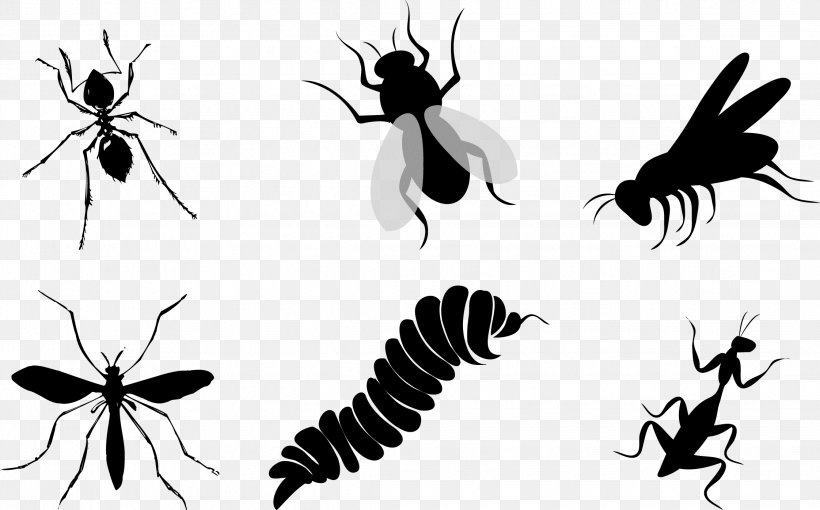 Insect Silhouette Butterfly Clip Art, PNG, 2244x1396px, Insect, Arthropod, Black And White, Butterfly, Fly Download Free