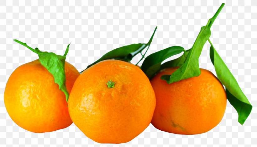 Orange Juice Tangerine Clementine, PNG, 1223x699px, Orange Juice, Bitter Orange, Blood Orange, Calamondin, Citric Acid Download Free