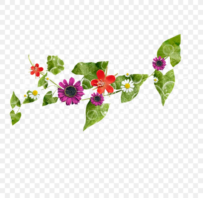 Petal Vine Flower, PNG, 800x800px, Petal, Animaatio, Drawing, Flora, Floral Design Download Free