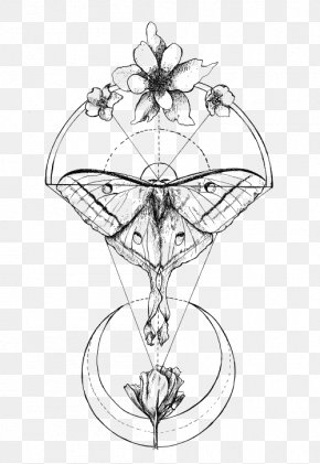 Butterfly - Butterfly Luna Moth Insect Drawing PNG