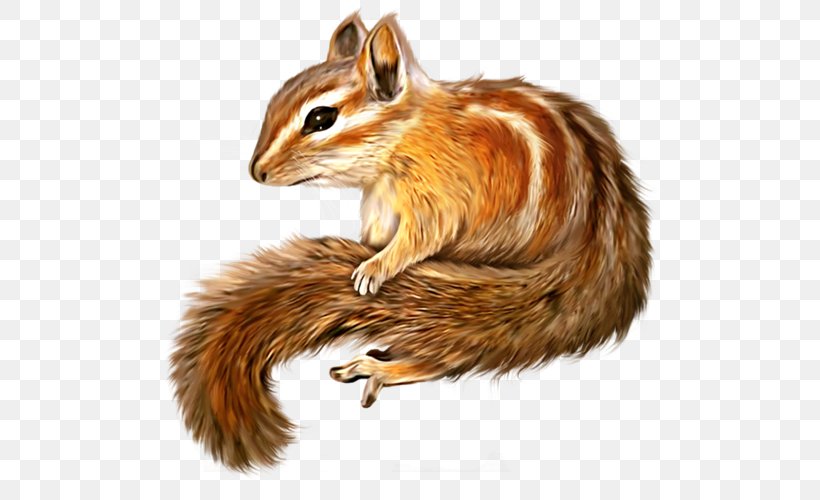 Chipmunk Squirrel Clip Art Image, PNG, 500x500px, Chipmunk, Drawing, Fauna, Fox Squirrel, Fur Download Free