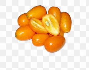Orange - Kumquat Citrus Margarita Citrus Japonica Mandarin Orange PNG