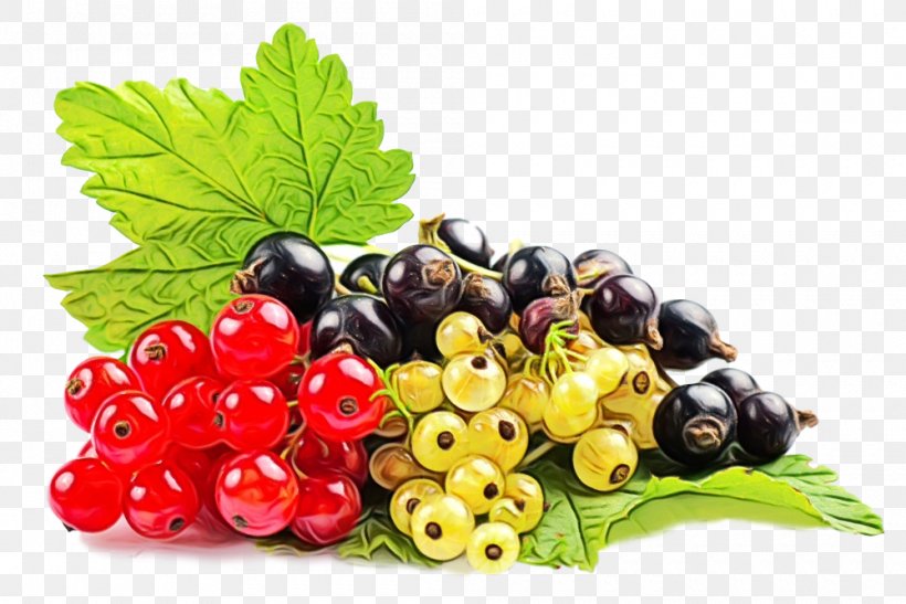 Natural Foods Fruit Berry Food Plant, PNG, 1000x668px, Watercolor, Berry, Currant, Food, Fruit Download Free