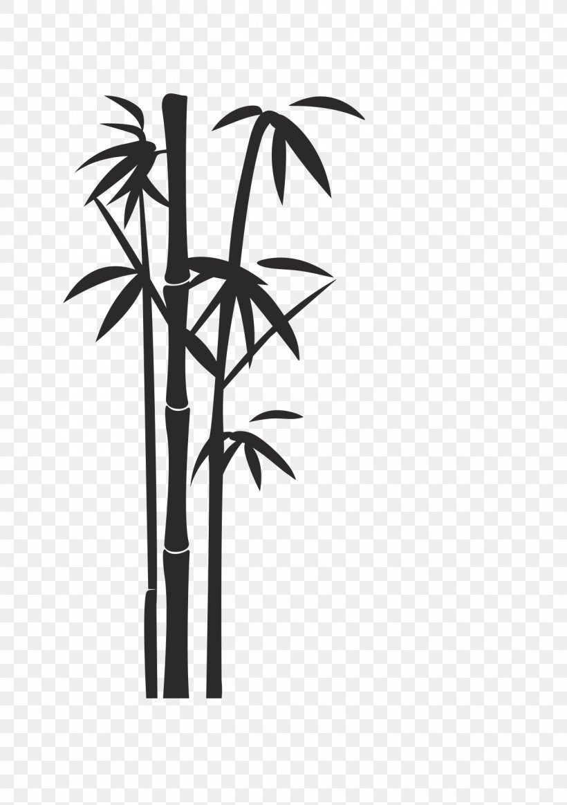 Clip Art Transparency Image Vector Graphics, PNG, 1260x1789px, Bamboo, Arecales, Art, Blackandwhite, Botany Download Free