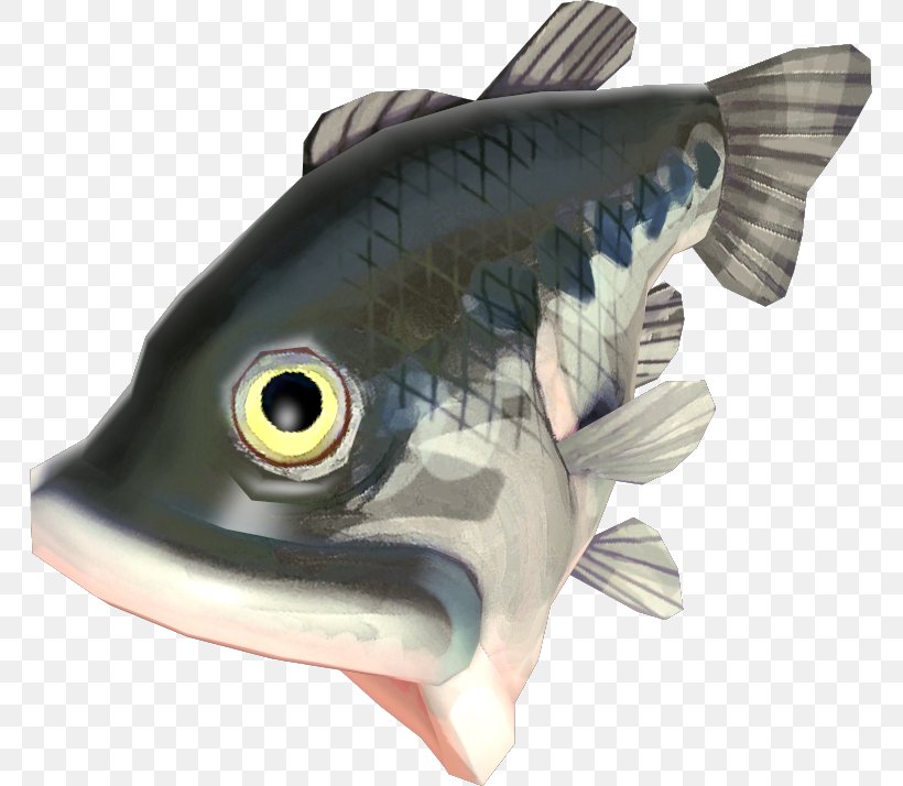 Bony Fishes Hagfish European Plaice Flatfish, PNG, 765x714px, Fish, Biology, Bony Fish, Bony Fishes, Deep Sea Fish Download Free