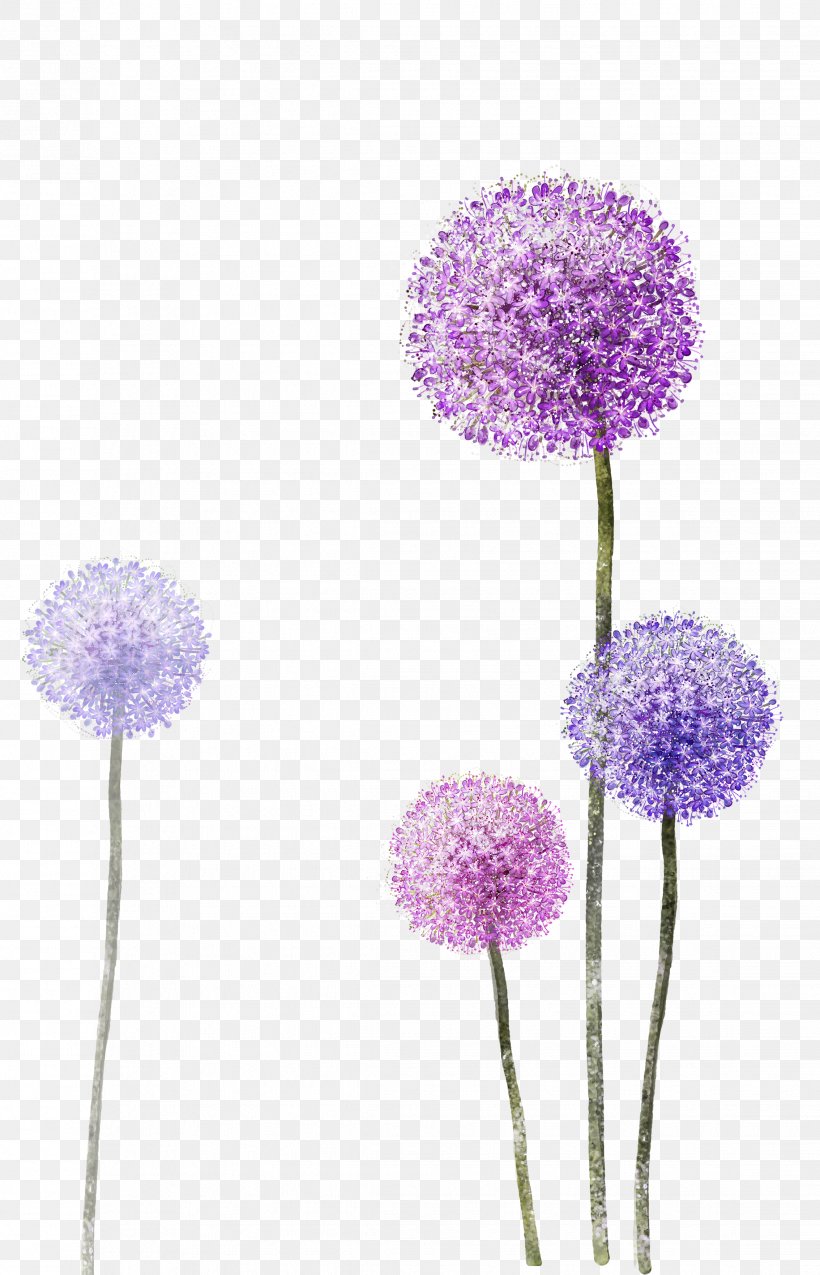 Common Dandelion Clip Art Taraxacum Platycarpum Purple, PNG, 2268x3528px, Common Dandelion, Color, Dandelion, Flower, Flowering Plant Download Free