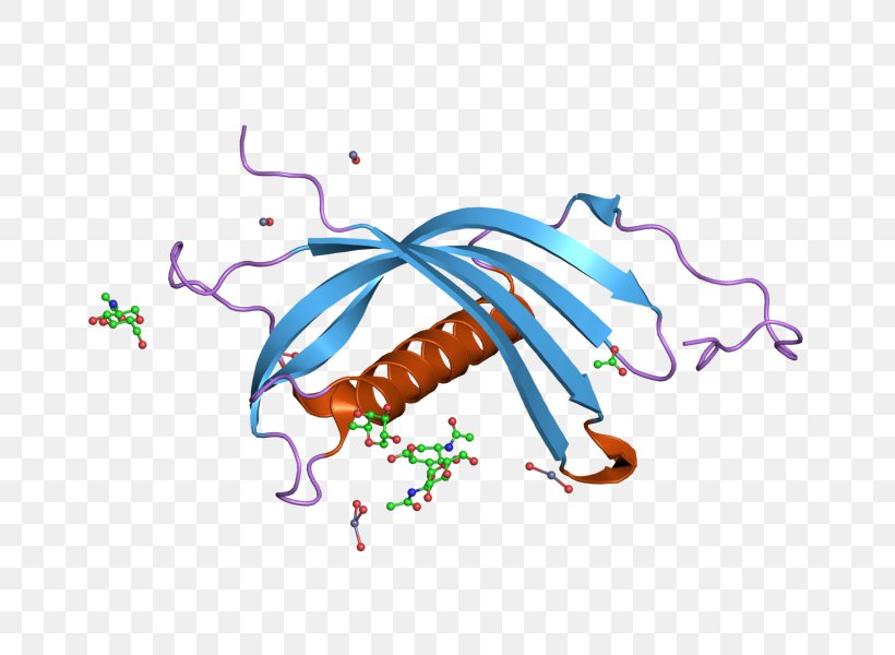 CST7 Cystatin C Protein Gene, PNG, 800x600px, Watercolor, Cartoon, Flower, Frame, Heart Download Free