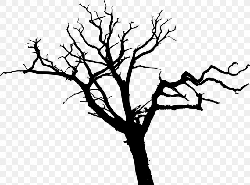 Silhouette Drawing Tree Clip Art, PNG, 850x630px, Silhouette, Black And White, Branch, Drawing, Flora Download Free