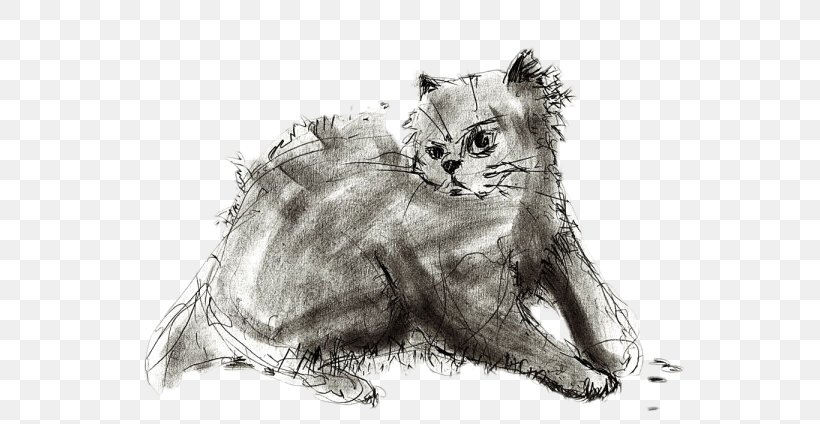 Drawing Line Art Photography Sketch, PNG, 600x424px, Drawing, Arduino, Art, Artwork, Big Cats Download Free