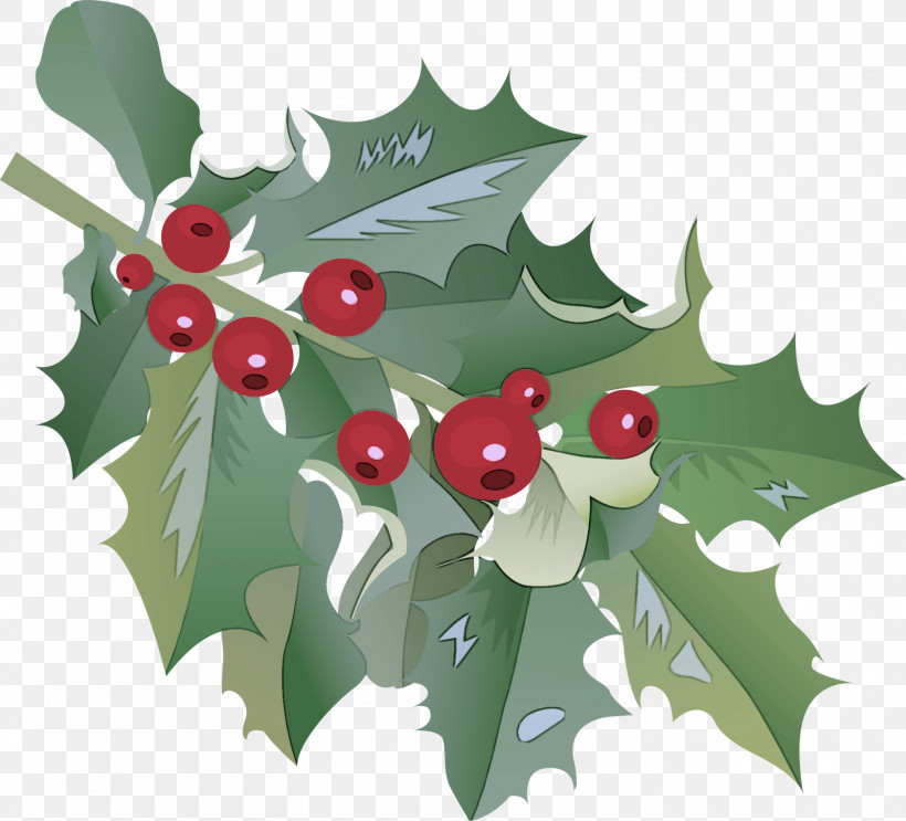 Holly, PNG, 1600x1450px, Holly, American Holly, Berry, Branch, Chinese Hawthorn Download Free