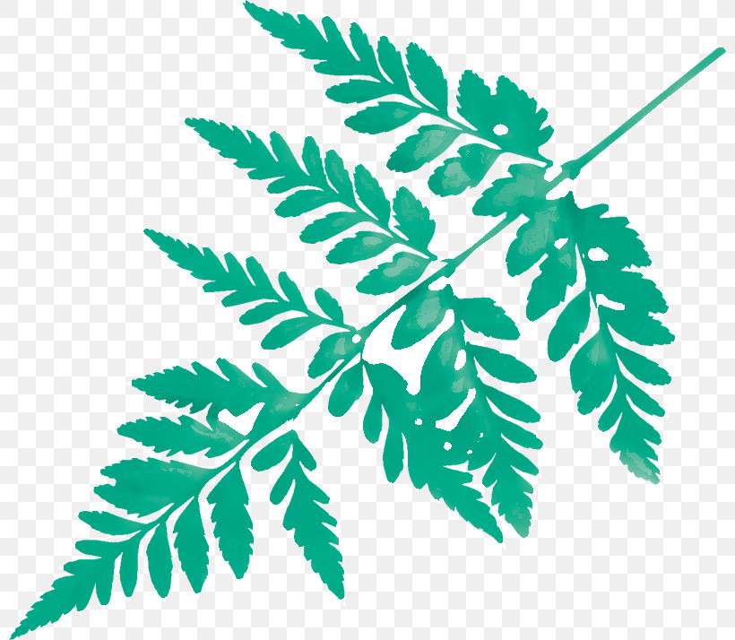 Branch Plant Stem Leaf Line Plants, PNG, 800x714px, Branch, Biology, Leaf, Line, Plant Stem Download Free