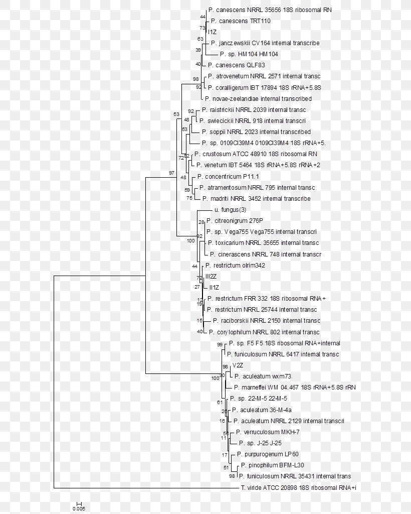 Document Angle White, PNG, 623x1024px, Document, Area, Black And White, Diagram, Kunming Download Free