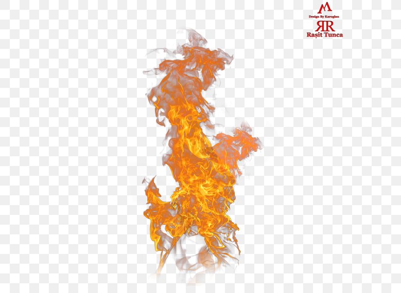Flame Combustion Fire, PNG, 600x600px, Flame, Combustion, Copyright, Creativity, Designer Download Free