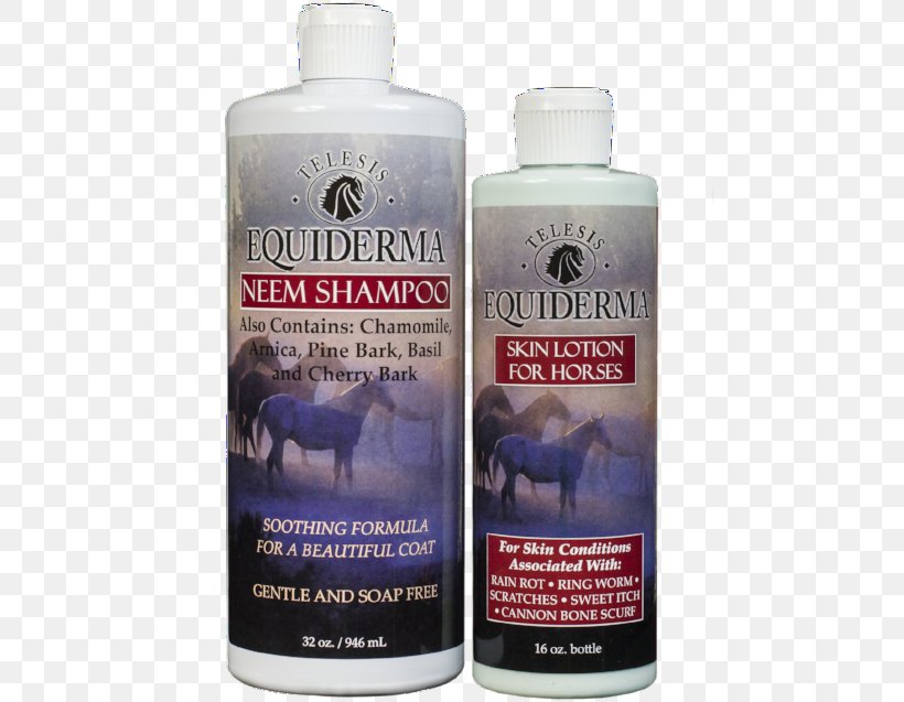 Horse Lotion Shampoo Mane Hair Conditioner, PNG, 500x637px, Horse, Aloe Vera, Animal, Dandruff, Hair Conditioner Download Free