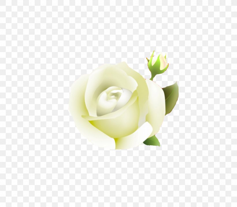 Rose Clip Art, PNG, 900x786px, Rose, Floral Design, Floristry, Flower, Flowering Plant Download Free