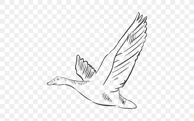 Bird Gulls Drawing Clip Art, PNG, 512x512px, Watercolor, Cartoon, Flower, Frame, Heart Download Free