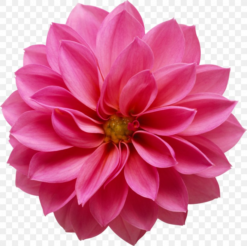 Flower Bouquet Lilium Clip Art, PNG, 1188x1187px, Flower, Chrysanths, Cut Flowers, Dahlia, Daisy Family Download Free