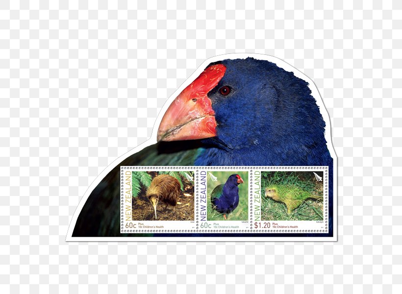 Macaw Advertising Fauna Beak, PNG, 600x600px, Macaw, Advertising, Beak, Bird, Fauna Download Free