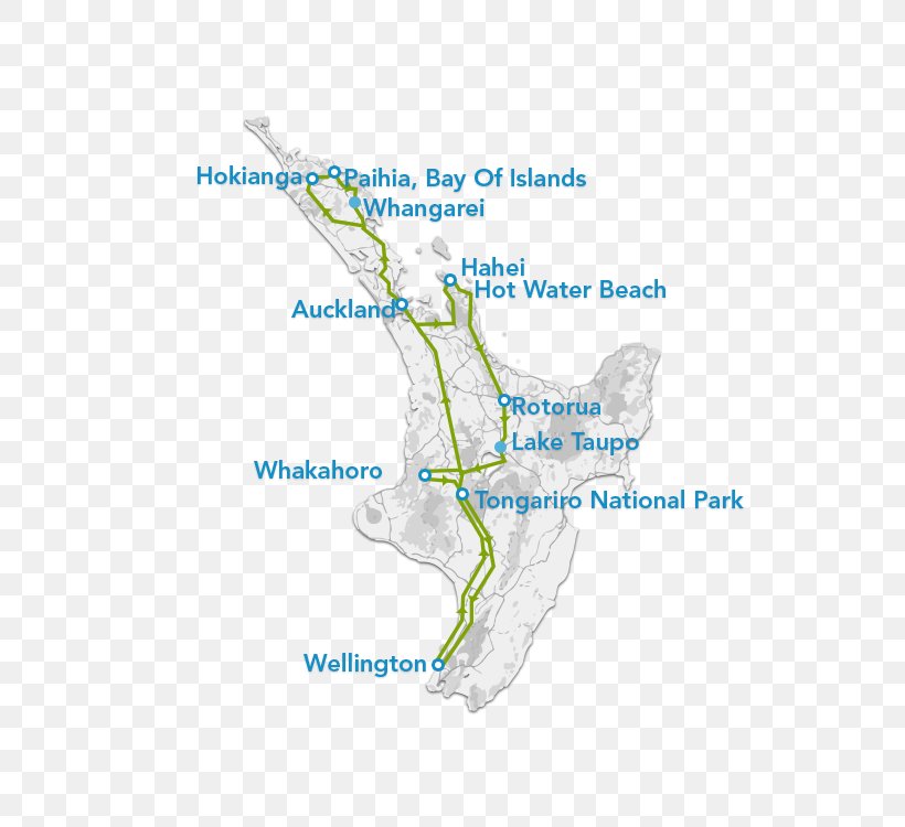 Day Street Hot Water Beach Travel Itinerary Tāne Mahuta, PNG, 750x750px, Hot Water Beach, Area, Auckland, Island, Joint Download Free