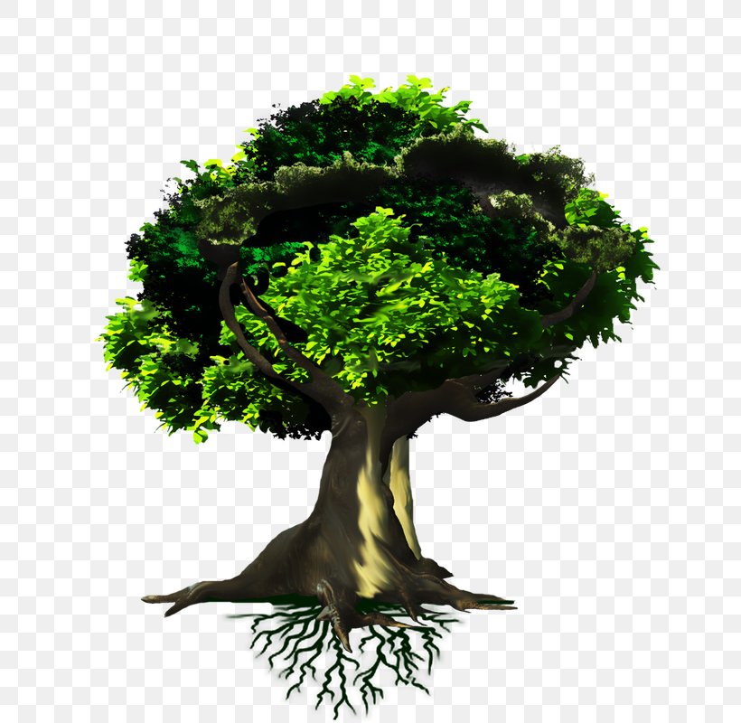 Paper Recycling Deforestation Poster, PNG, 650x800px, Paper, Bonsai, Book, Branch, Deforestation Download Free