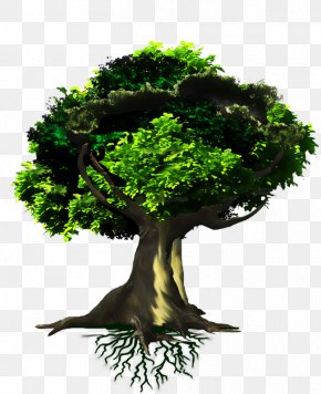 Deforestation Images Deforestation Transparent Png Free Download