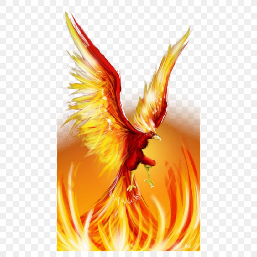 Phoenix Firebird Art Drawing, PNG, 1024x1024px, Phoenix, Art, Bird, Dragon, Drawing Download Free