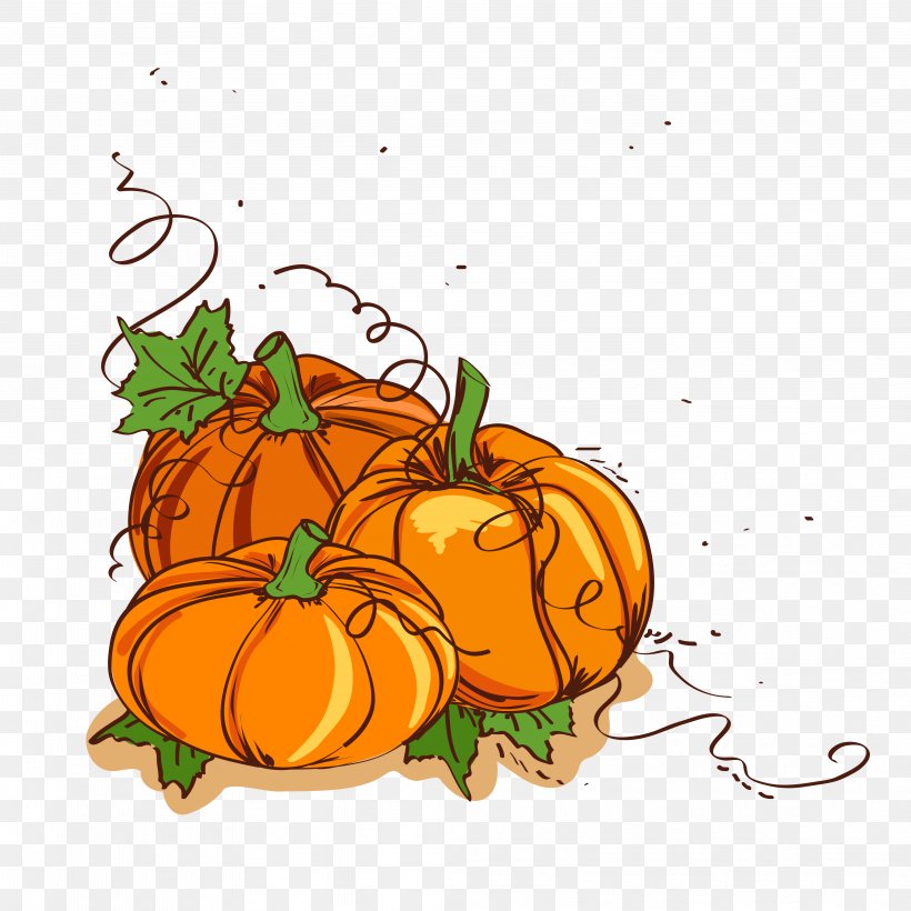Thanksgiving Dinner Pumpkin Clip Art, PNG, 4167x4167px, Thanksgiving, Calabaza, Christmas, Cucurbita, Food Download Free