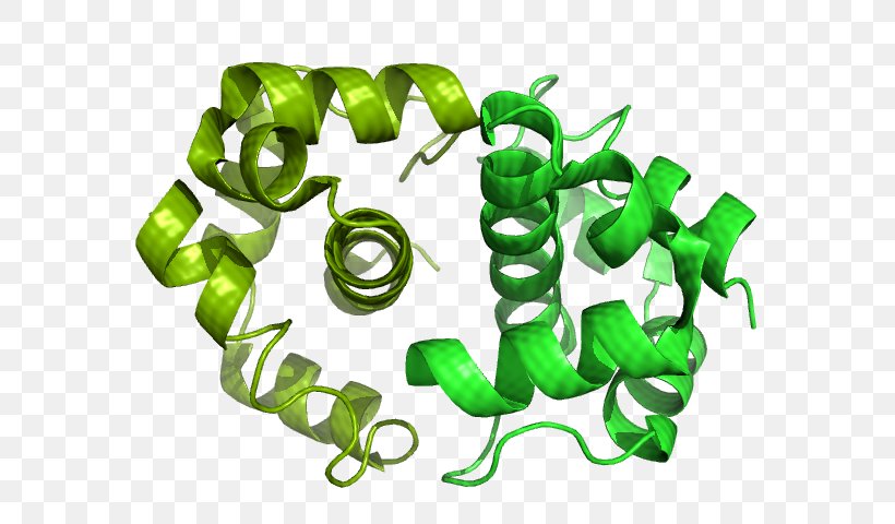Anti-sigma Factors Biochemistry Transcription E. Coli, PNG, 640x480px, Biochemistry, Bacterial Transcription, Biology, E Coli, Food Download Free