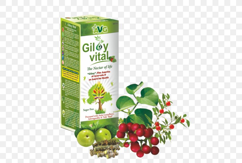 Juice Health Apple Cider Vinegar Medicine Herb, PNG, 500x554px, Juice, Apple Cider Vinegar, Bioactive Compound, Diabetes Mellitus, Food Download Free