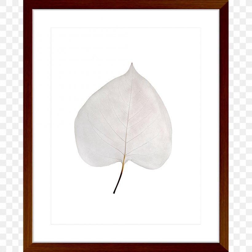 Leaf Petal, PNG, 1000x1000px, Leaf, Petal Download Free