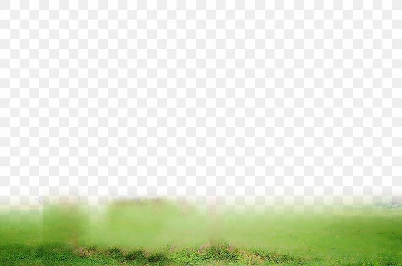 PicsArt Photo Studio Editing Lawn Daytime Desktop Wallpaper, PNG, 1600x1062px, Watercolor, Cartoon, Flower, Frame, Heart Download Free