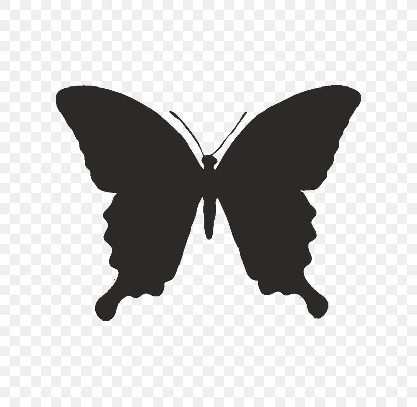 Butterfly Stencil Image Illustration Drawing, PNG, 800x800px, Butterfly, Alpine Black Swallowtail, Art, Black And White, Brush Footed Butterfly Download Free