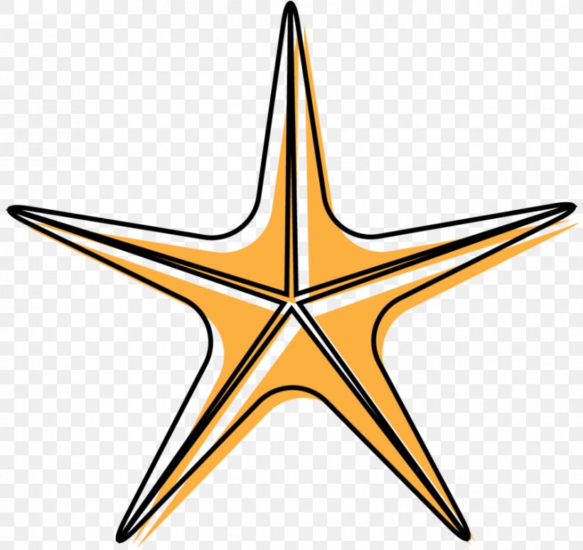 Clip Art Angle Line Starfish Point, PNG, 891x841px, Starfish, Point, Star, Symmetry Download Free