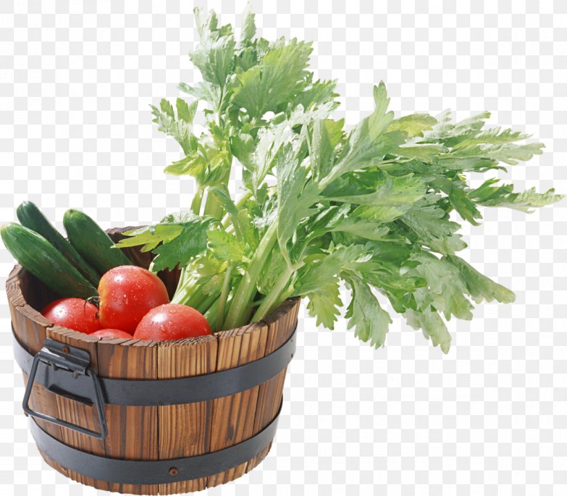 Vegetable Food Wild Celery Starch Fruit, PNG, 1171x1024px, Vegetable, Capsicum, Capsicum Annuum, Carrot, Condiment Download Free