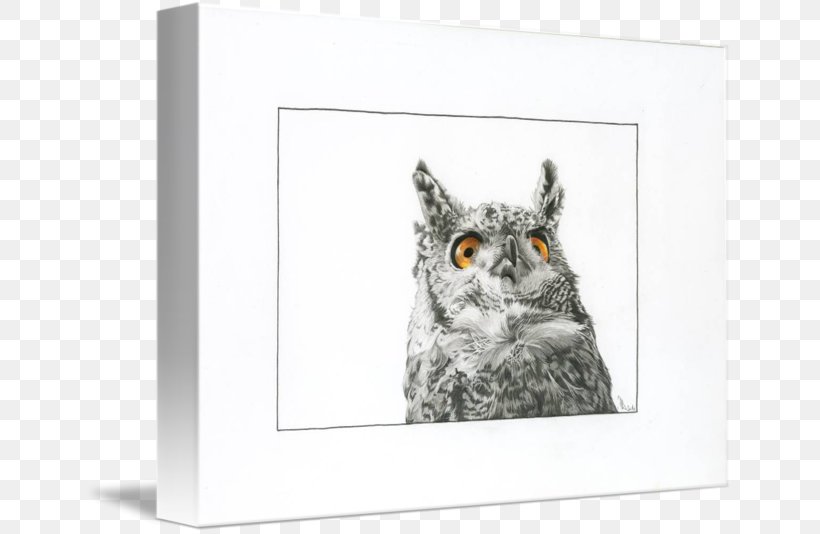Whiskers Kitten Owl Tabby Cat, PNG, 650x534px, Whiskers, Beak, Bird, Bird Of Prey, Cat Download Free