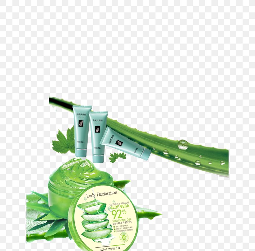 Aloe Vera Dali Bai Autonomous Prefecture Gel Burn Skin, PNG, 650x807px, Aloe Vera, Abrasion, Aloe, Brand, Burn Download Free