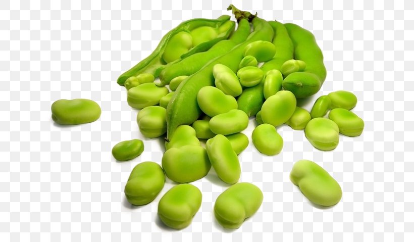 Broad Bean Legumes Sowing Food, PNG, 700x479px, Broad Bean, Bean, Carbohydrate, Commodity, Common Bean Download Free