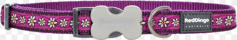 Dingo Dog Collar Leash Pet Tag, PNG, 3000x510px, Dingo, Body Jewelry, Brand, Collar, Dog Download Free