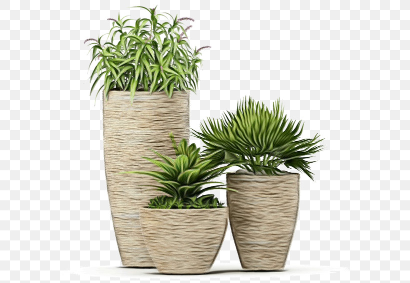 Flowerpot Grasses Houseplant Herb Evergreen Marine Corp., PNG, 600x565px, Watercolor, Evergreen Marine Corp, Flowerpot, Grasses, Herb Download Free