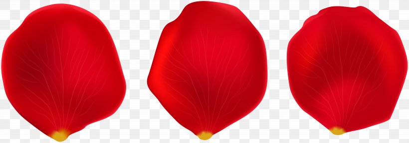 Petal Clip Art, PNG, 8000x2813px, Petal, Computer Animation, Flower, Red, Royaltyfree Download Free