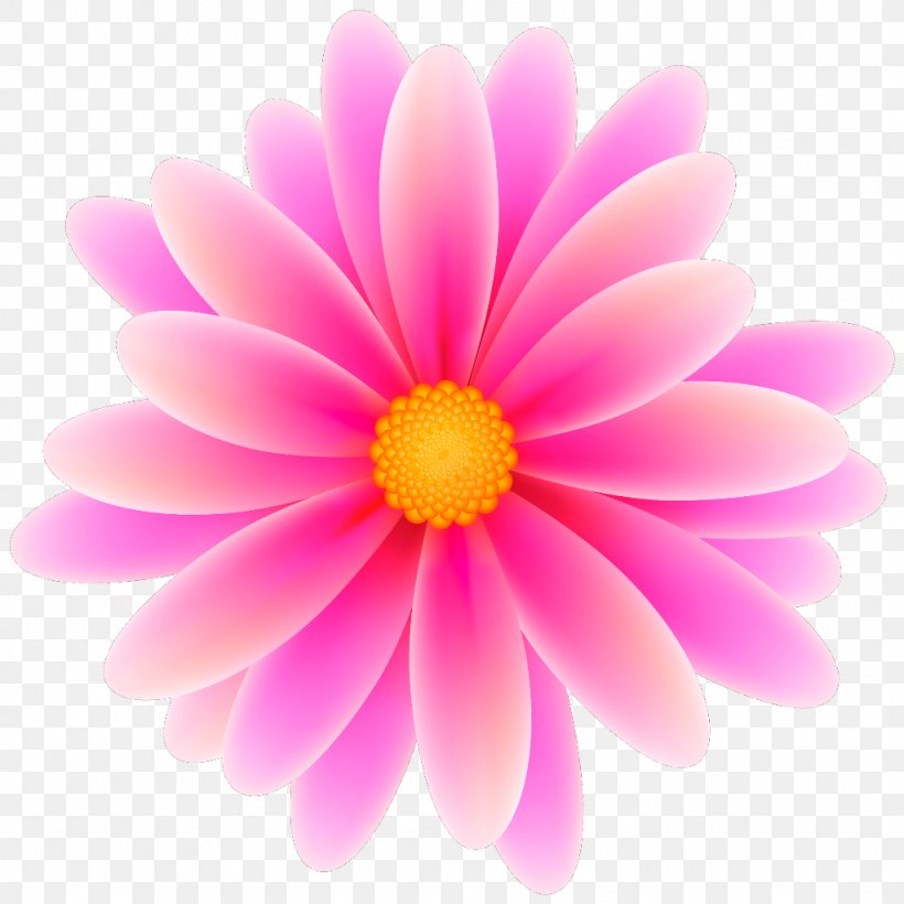Pink Flowers Desktop Wallpaper Clip Art, PNG, 1024x1024px, Pink Flowers, Art, Blossom, Chrysanths, Close Up Download Free