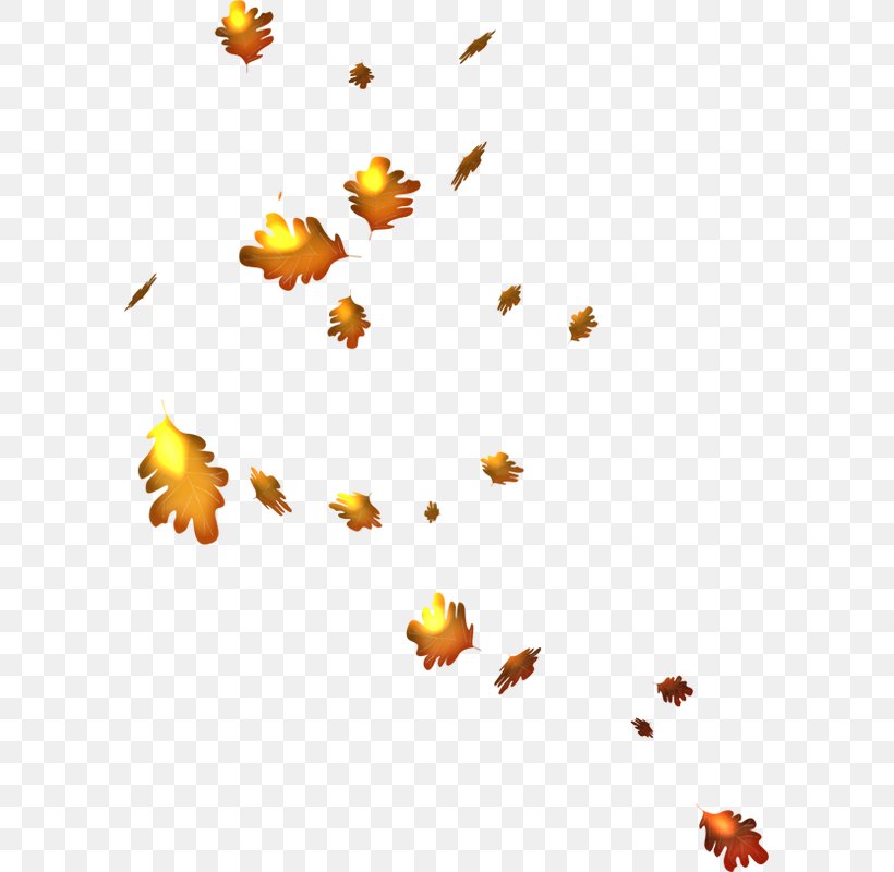Autumn Leaves Clip Art, PNG, 591x800px, Autumn, Animaatio, Autumn Leaves, Branch, Computer Animation Download Free