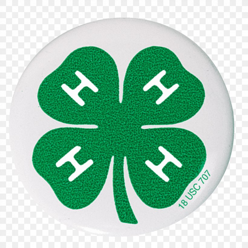 4-H Organization Institute Of Food And Agricultural Sciences Clover Cooperative State Research, Education, And Extension Service, PNG, 1028x1028px, Organization, Clover, Fourleaf Clover, Grass, Green Download Free