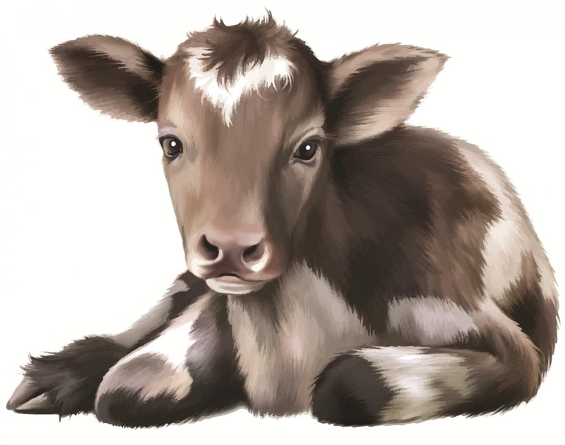 Calf Angus Cattle Infant Image Stock Photography, PNG, 1024x807px, Calf, Angus Cattle, Cattle, Cattle Like Mammal, Cow Goat Family Download Free