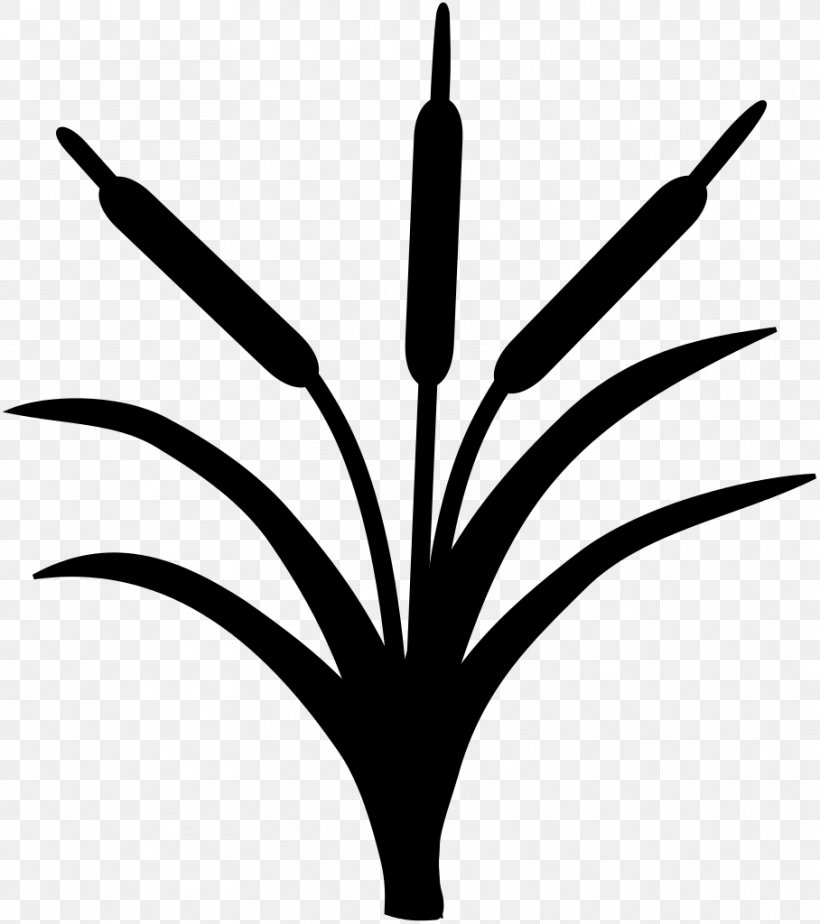 Leaf Plant Stem Flower Line Clip Art, PNG, 908x1024px, Leaf, Black And White, Flower, Monochrome Photography, Plant Download Free